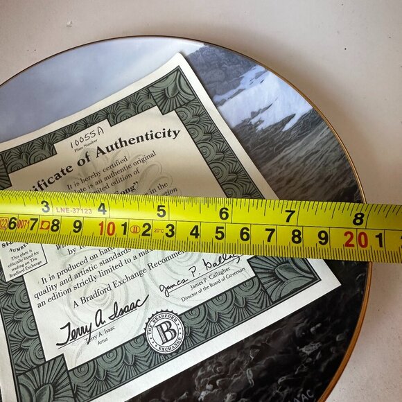 "TUNDRA SONG" BY TERRY ISAAC, DOCARATIVE PLATE # 10055 A - Picture 5 of 5